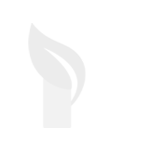NatureCo logo